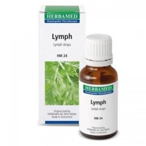 Lymph
