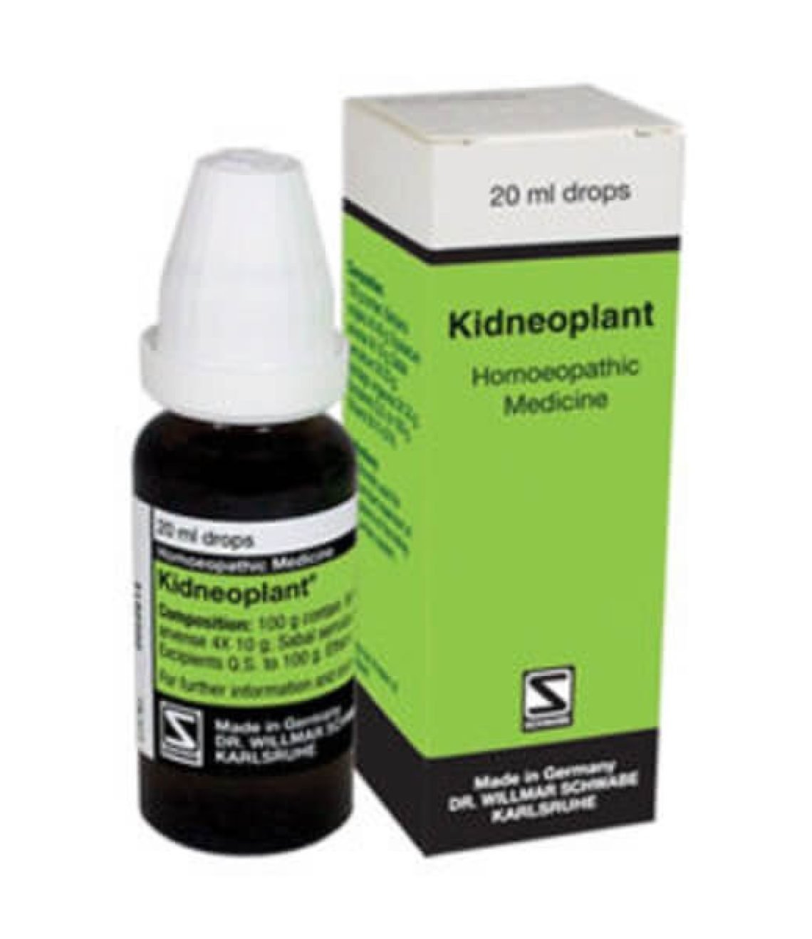 Kidneoplant-1