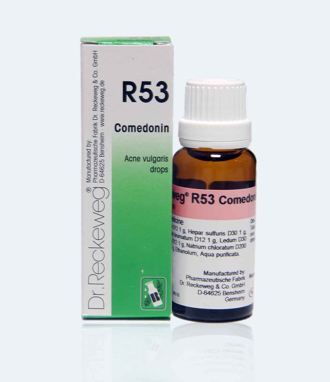 R53-1